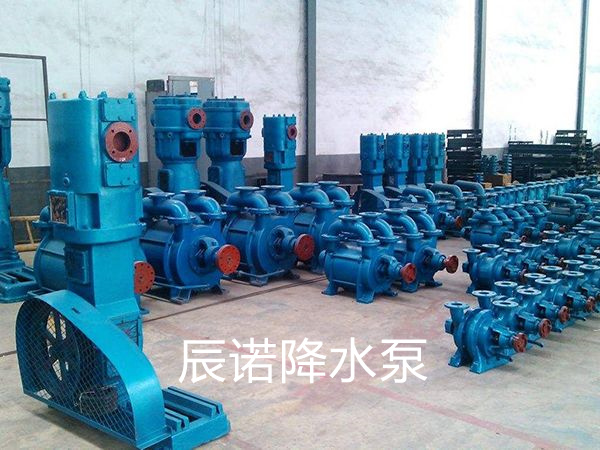 往復(fù)式降水泵