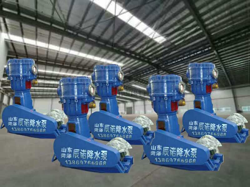 往復(fù)式降水泵