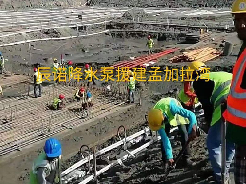 往復(fù)式降水泵