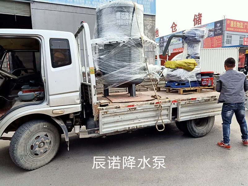 大型往復(fù)式降水泵